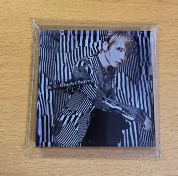 Acid Black Cherry 아크릴 마그넷 B 예수