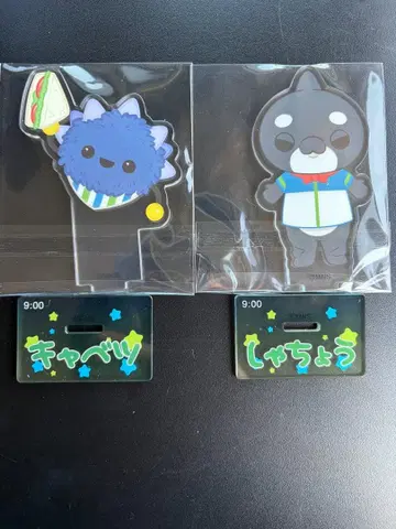 교육 방송 트레이딩 아크릴 스탠드 양배추, 사장