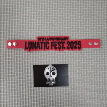 LUNATIC FEST. 2025 러버 밴드