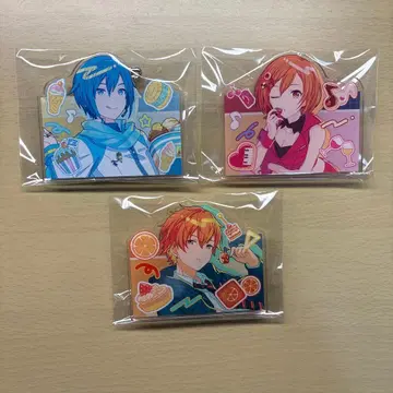 프로세카 아크릴 배지