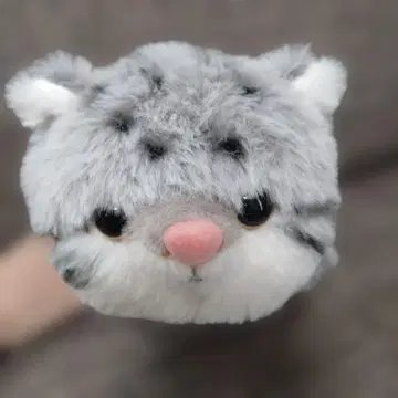 마눌 고양이 나스 동물 왕국