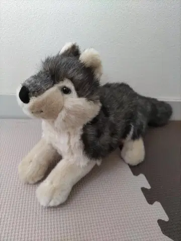 늑대 늑대 봉제 인형