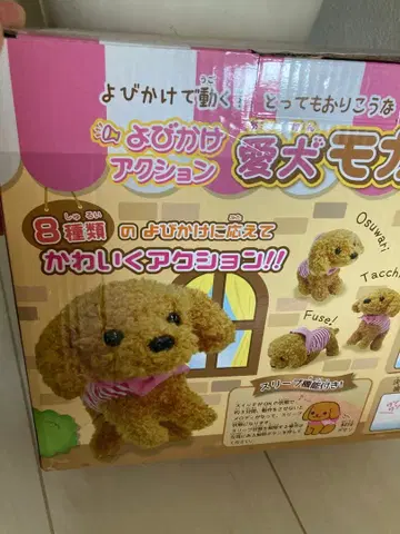 사랑하는 반려견 모카 봉제 인형 본체