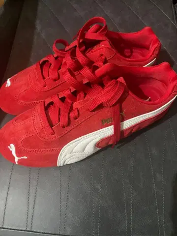 [ 미사용 새상품 ] 26cm 스피도 캣 감정 포함