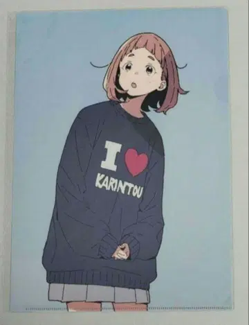 리코리스 리코일 클리어 파일 리코리코전 에리카