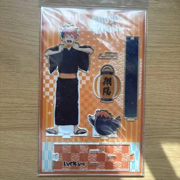 하이큐!! 히나타 쇼요 아크릴 스탠드 엔니치