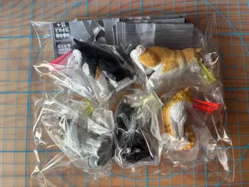 전 5종 컴프 눈에서 Beam 가챠 캡슐 토이 고양이 개