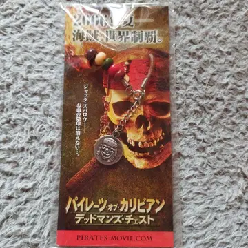 캐리비안의 해적 액세서리