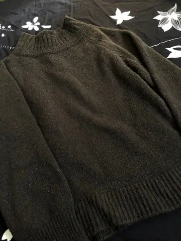 팔라스 팰리스 다크 브라운 하이넥 니트 스웨터