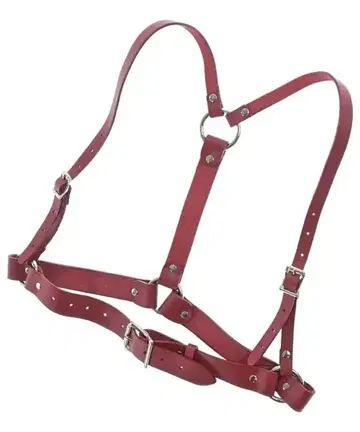 COMME des GARCONS GIRL 잡화류 ( 기타 ) 여성용