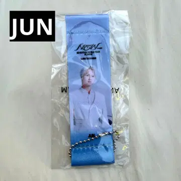 준 세븐틴 SEVENTEEN 플래그 키링 가챠