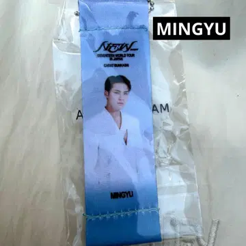 민규 세부치 SEVENTEEN 플래그 키링 가챠