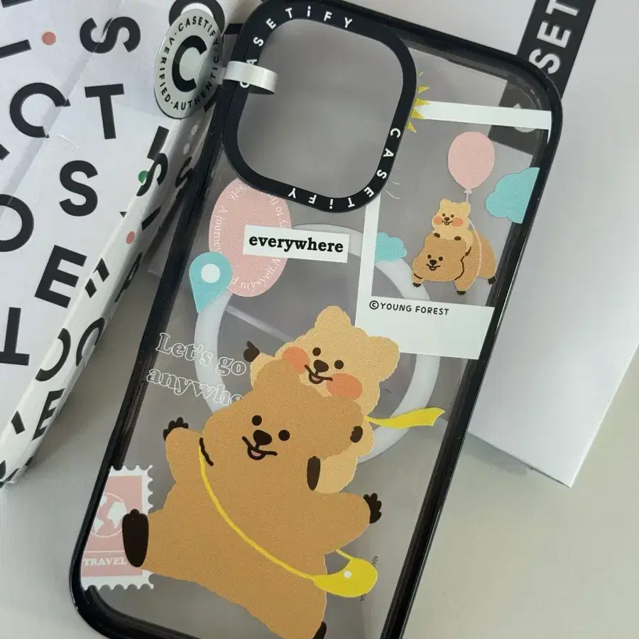 CASETiFY Classic Dottie iPhone 16Pro Max CASETiFY Mirror Case for