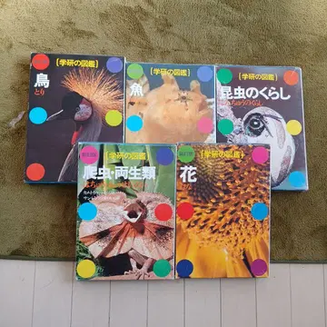 학습연구사의 도감 세트 5권