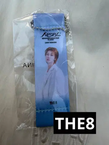 디에잇 세븐틴 SEVENTEEN 플래그 키링 가챠