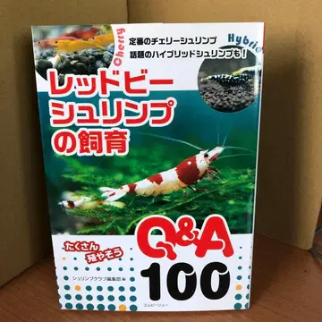 레드비새우 사육 Q&A 100