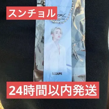 에스쿱스 세븐틴 SEVENTEEN 플래그 키링 가챠 승철