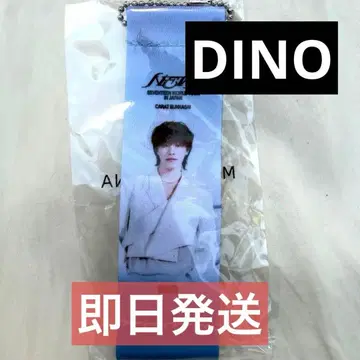 디노 세븐틴 SEVENTEEN 플래그 키링 가챠