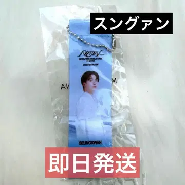 승관 세븐틴 SEVENTEEN 플래그 키링 가챠