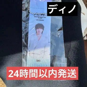 seventeen 팝업 미츠코시 가챠 플래그 키링 DINO