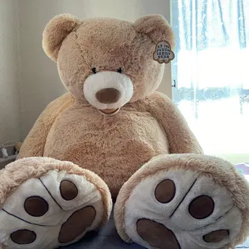 코스트코 곰 봉제 인형 135cm