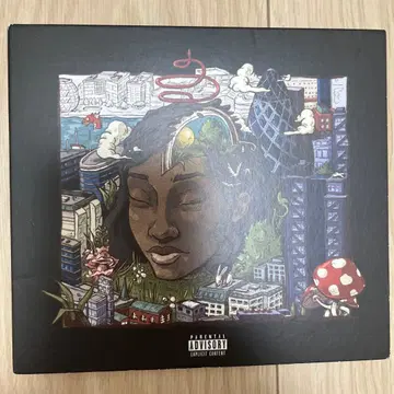 레어 little simz Stillness In Wonderland