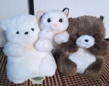 타케노코 조이풀 메이트 봉제 인형 모음 세트 너구리 시로쿠마 고양이