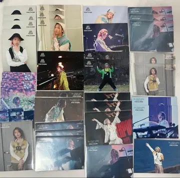 Mrs. GREEN APPLE 후지사와 료카 포토 카드 환지 젠진