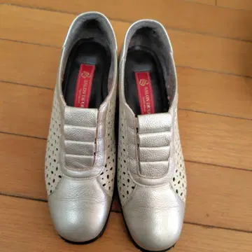 살롱 드 그레이 23.5cm