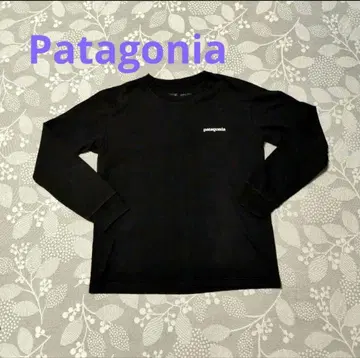 Patagonia 롱티