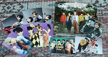 AMAZONIA 초회 한정판 A ONE N' ONLY