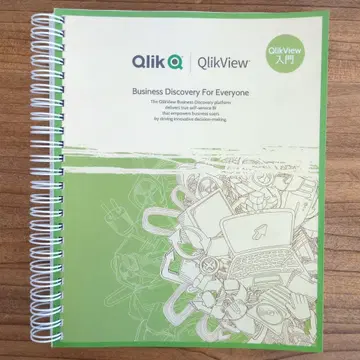 QlikView 입문