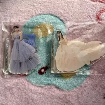 사립 에비스 중학 에비츄 나카야마 리코 아크릴 스탠드 생일 드레스