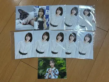 사사키 코토코와 아쉬의 성장 기록 브로마이드 세트