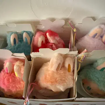 러브브 Big into Energy 모듬 박스 6개 세트