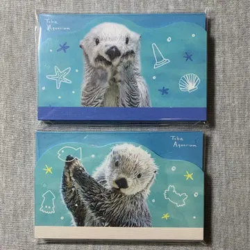 도바 수족관 메이 키라 오리지널 다이컷 메모