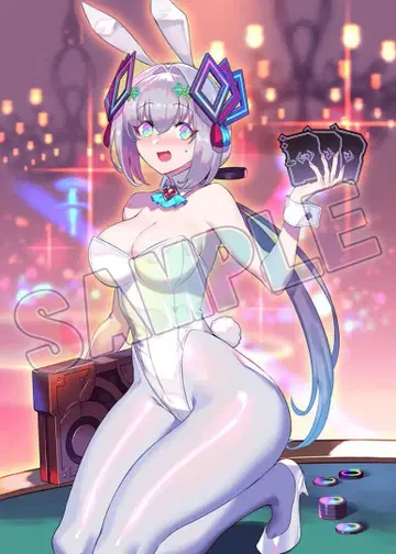 카르도 안 쉘 에비텐 특전 게임 소프트 없음