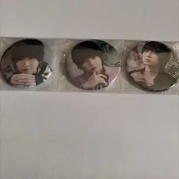 사사키 히데히데 2025 캔뱃지 라이브 굿즈 그 3