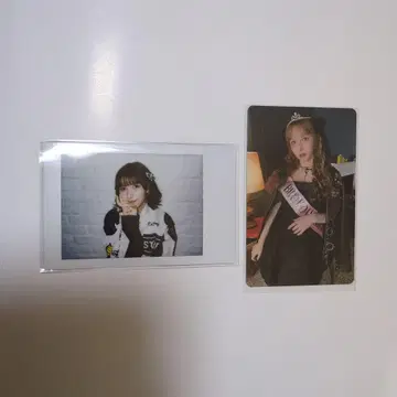 후르츠 지퍼 하야세 노엘 세트