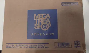 사이버 포뮬러 컬렉션 황아 AN-21 서킷 모드 BLACK