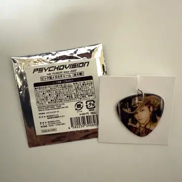 PSYCHOVISION hide MUSEUM 피크형 메탈 참