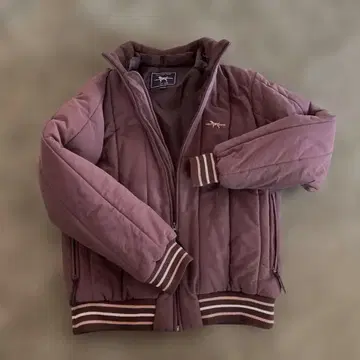 Labrador Retriever 브라운 블루종 M