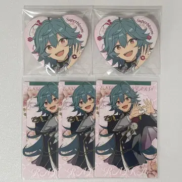 앙스타 라이카 스타포니 묶음 판매