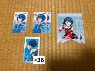 키리타니 하루카 프로세카 묶음 판매