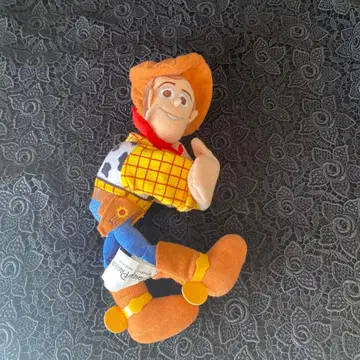 TDR 디즈니 우디 스내그내퍼 암밴드