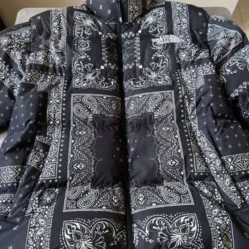 The North Face 반다나 패턴 다운 자켓