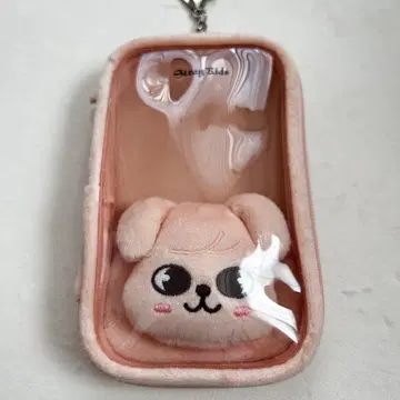 straykids puppym 퍼핌 아크릴 스탠드 케이스