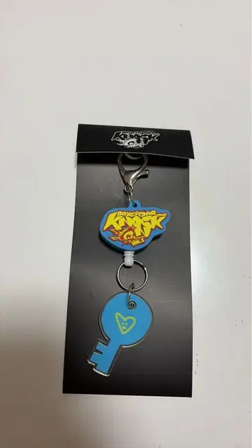 BOYNEXETDOOR 보이넥 운학 키링