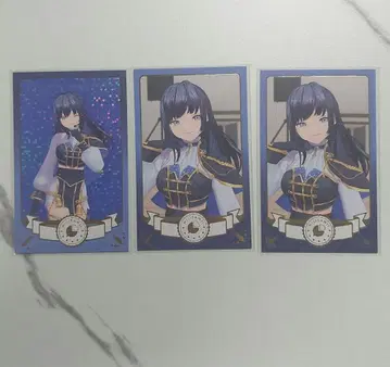 산토 닝 공통 의상 폴라로이드