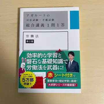 아갈루트 노동법 제2판